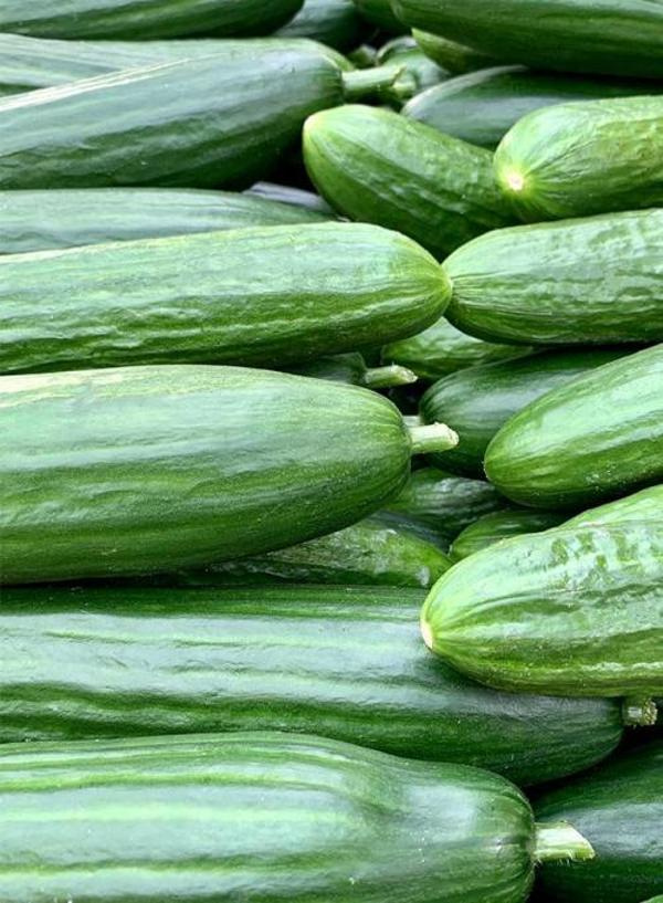 Produktfoto zu Schlangengurken