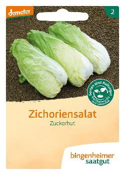 Produktfoto zu Salat Zuckerhut