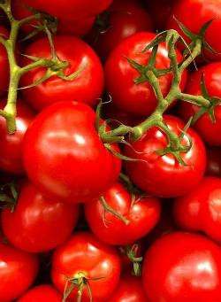 Produktfoto zu Tomaten rot rund