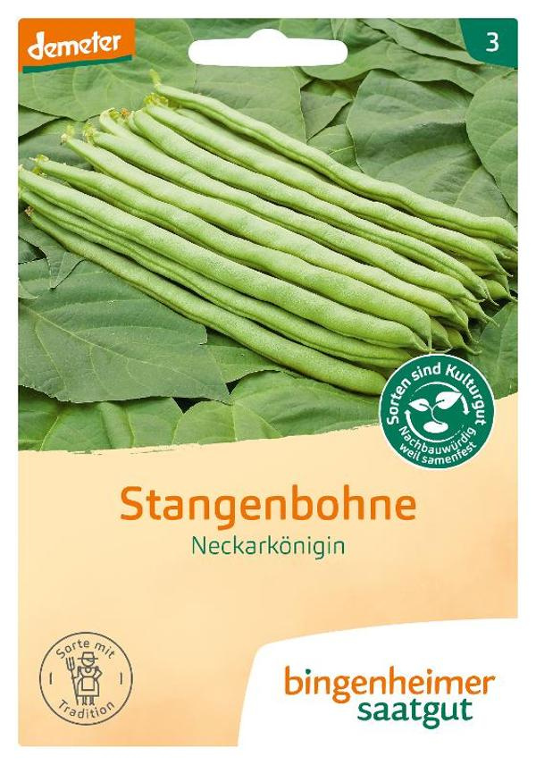 Produktfoto zu Stangenbohne Neckarkönigin