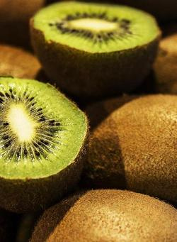 Produktfoto zu Kiwi