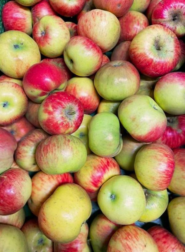 Produktfoto zu Äpfel Topaz