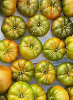 Produktfoto zu Fleischtomaten schwarz