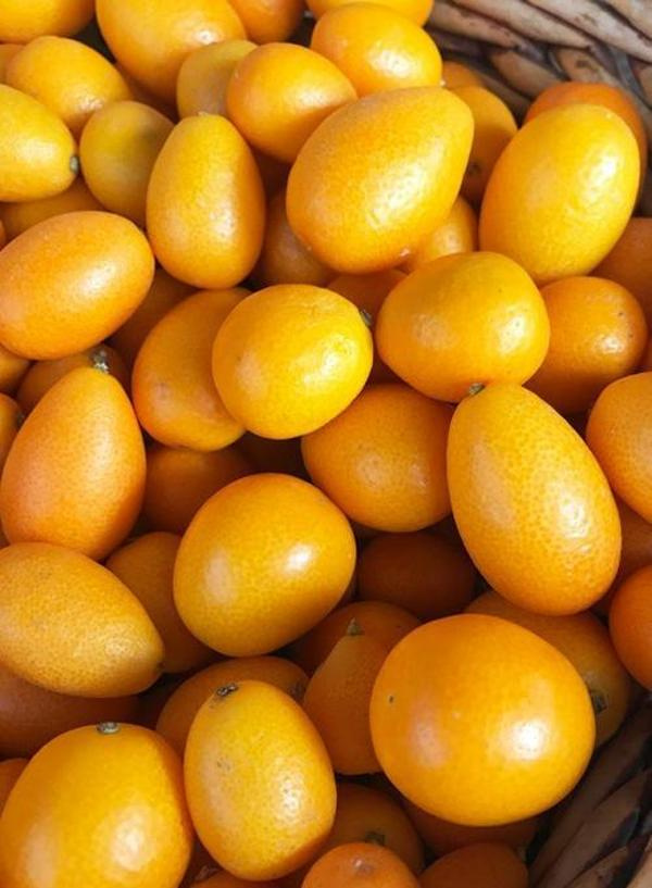 Produktfoto zu Kumquats