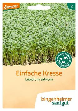 Produktfoto zu Kresse