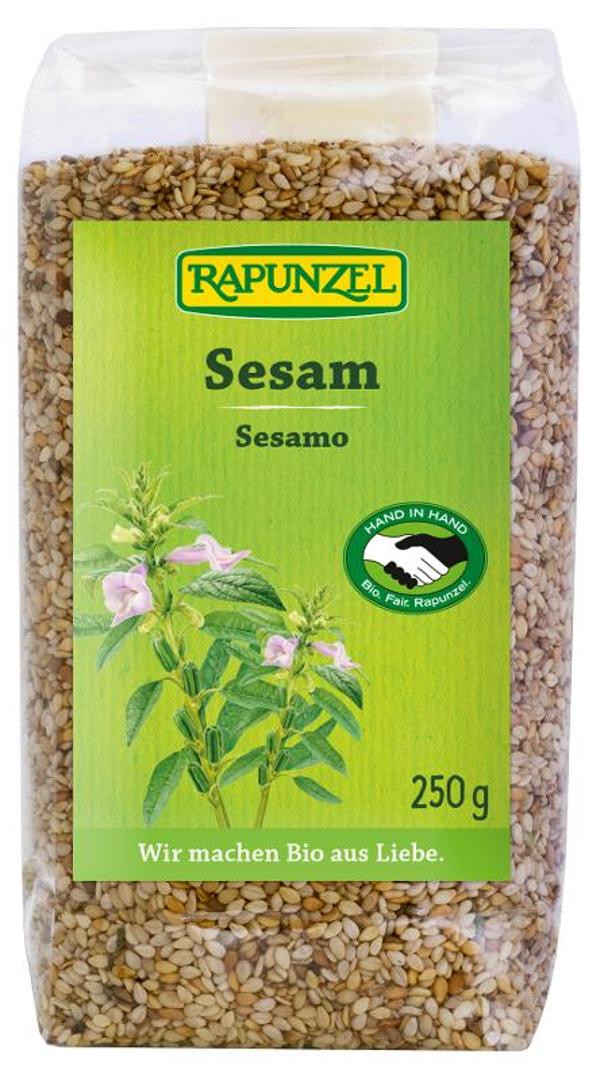 Produktfoto zu Sesam ungeschält