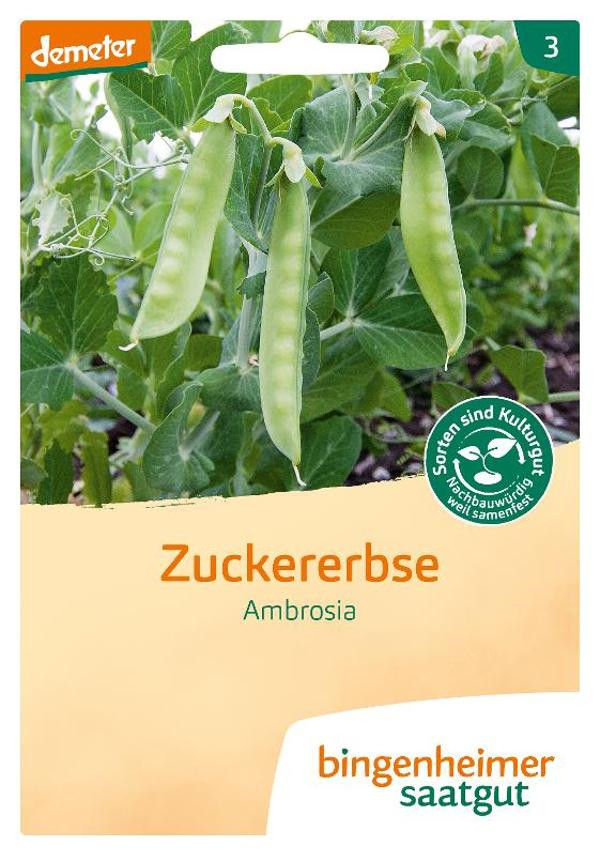 Produktfoto zu Zuckererbse Ambrosia