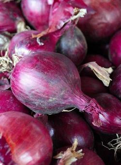 Produktfoto zu Zwiebeln rot