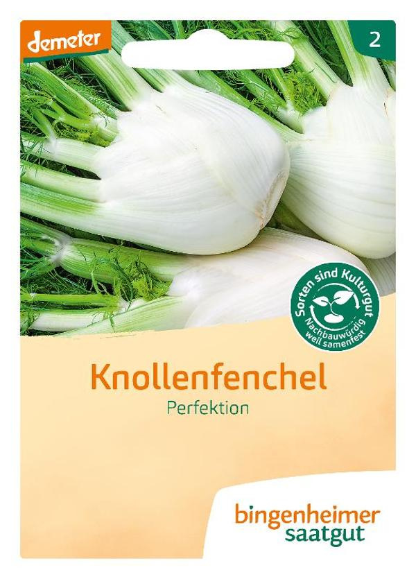 Produktfoto zu Knollenfenchel Perfektion