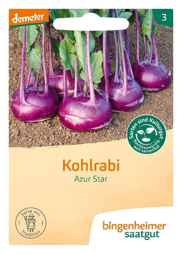 Produktfoto zu Kohlrabi blau Azur Star