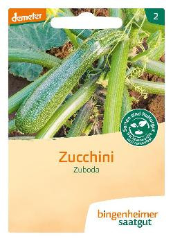 Produktfoto zu Zucchini Costates Romanesco