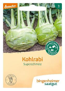 Produktfoto zu Kohlrabi weiß Superschmelz