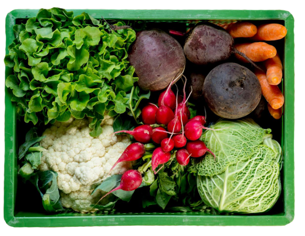 Grüne Kiste mit Blumenkohl, Blattsalat, rote Beete, Weißkraut, Radieschen und Karotten