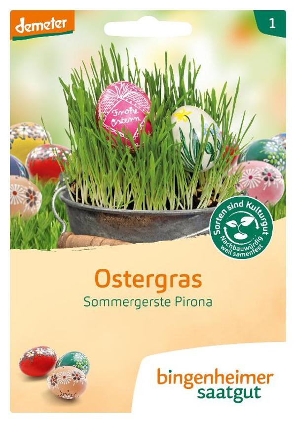 Produktfoto zu Smoothie-Gras (Ostergras)