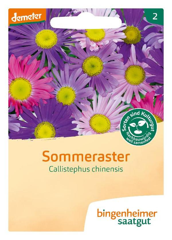 Produktfoto zu Sommeraster