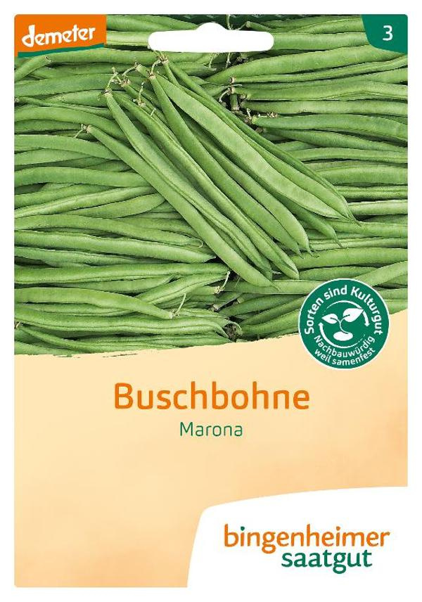 Produktfoto zu Buschbohne Marona