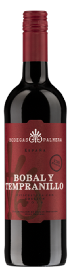 Produktfoto zu Bobal y Tempranillo rot