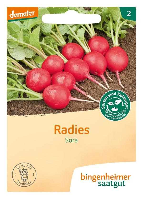 Produktfoto zu Radieschen Sora