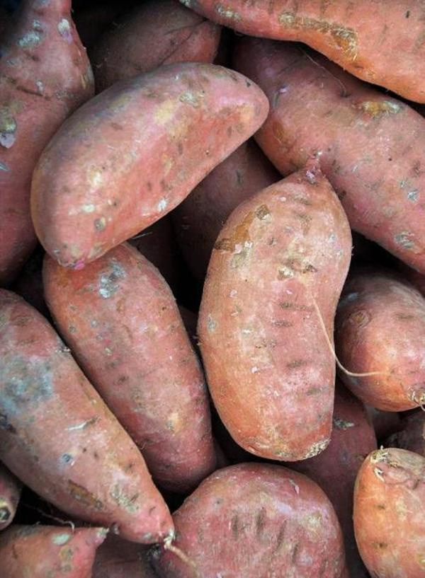 Produktfoto zu Süßkartoffeln