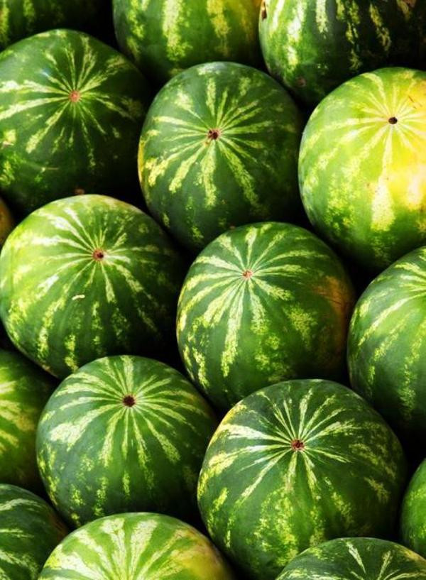 Produktfoto zu Mini-Wassermelone