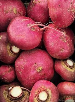 Produktfoto zu Speiserübchen rot