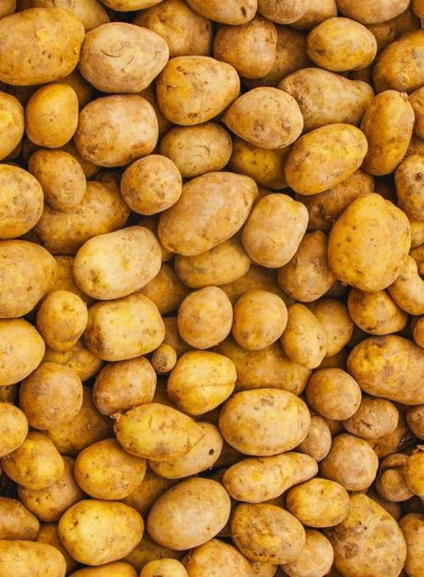 Produktfoto zu Kartoffeln festkochend, 2,5 kg