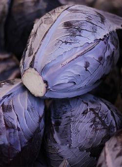 Produktfoto zu Blaukraut