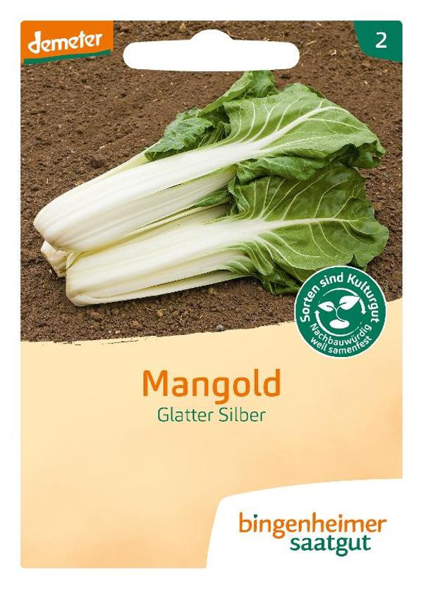 Produktfoto zu Mangold Glatter Silber