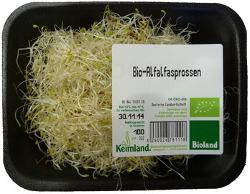 Produktfoto zu Alfalfa-Sprossen