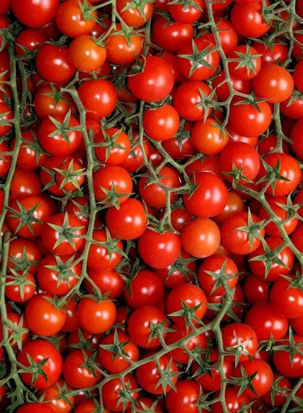 Produktfoto zu Cocktailtomaten