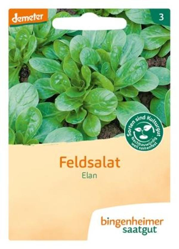 Produktfoto zu Feldsalat Elan