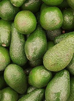 Produktfoto zu Avocado