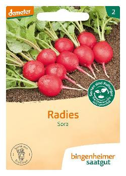 Produktfoto zu Radieschen Sora