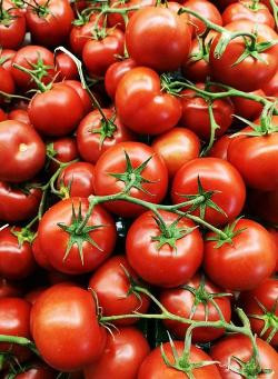 Produktfoto zu Strauchtomaten