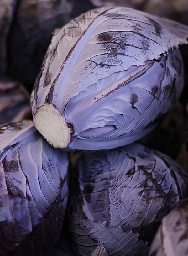 Produktfoto zu Blaukraut groß