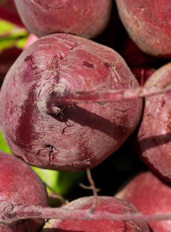 Produktfoto zu Rote Bete